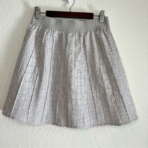 Hinge silver lined skirt 💗 EUC 💗 XS